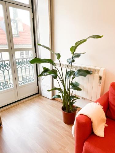Stunning Luxury Apartment in Chiado 1BR, Lisboa (foto 10)