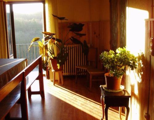 Superior Apartment with Balcony