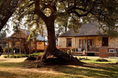 Dalmore Guest Farm Dalmore Guest Farm