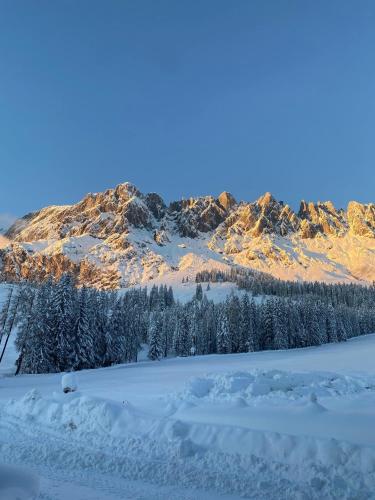 Appartementhaus Hochkönig - Panoramablick (Appartementhaus Hochkonig - Panoramablick) in Muhlbach