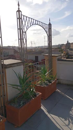 Colosseum Exclusive Duplex - image 10