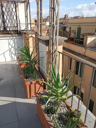 Colosseum Exclusive Duplex - image 14