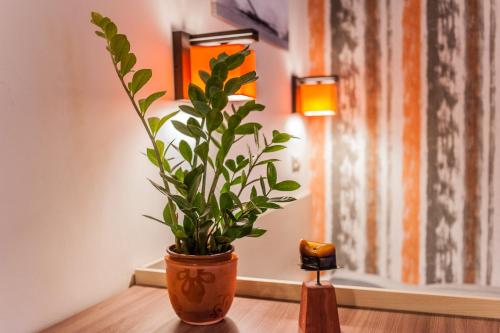 All In Apartman - image 11