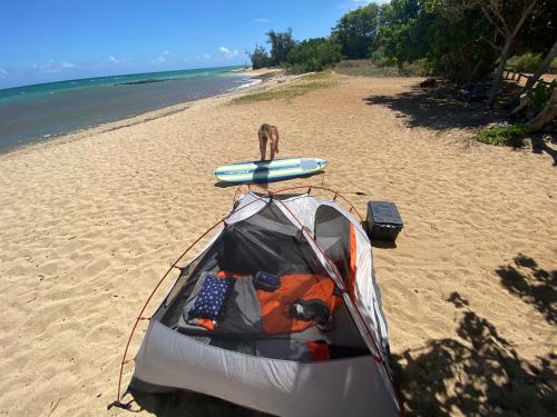 Budget Hack Maui SUV camping - Tap to explore photos