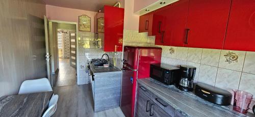 Apartament Tkaczy