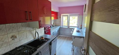 Apartament Tkaczy