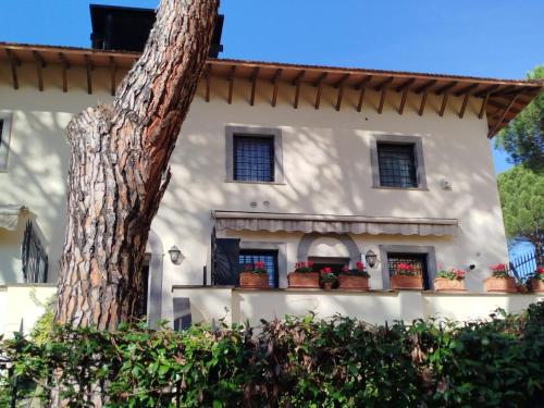 Gemelli Flower's House, Rzym