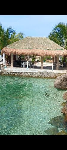 Surrounding environment, Seascape Beach Resort Oslob in Oslob