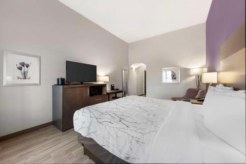 Best Western Plus Buda Austin Inn & Suites - image 12