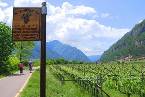 康卡维德住宿酒店