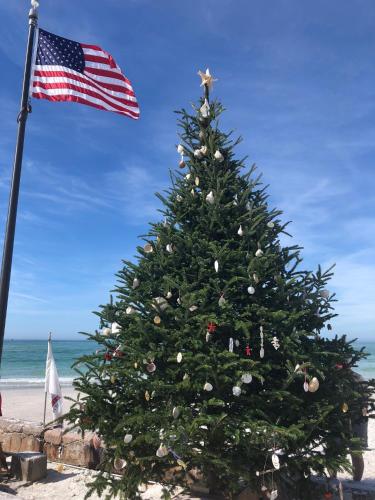Sarasota -Walk to Siesta Key Beach in Sarasota, USA