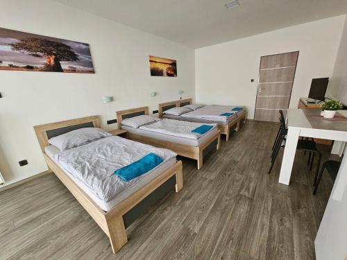 Penzion Machynka - Accommodation - Bučovice