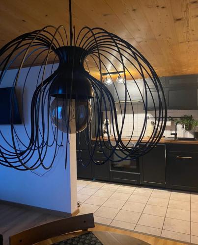 kuhinja, Ferienwohnung in Stein AR in Schlatt-Haslen