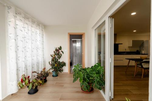 Casa da Adega gîte à louer Escariz