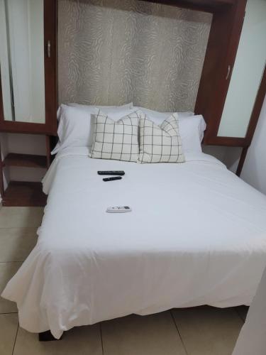 One-Bedroom Apartment image 8