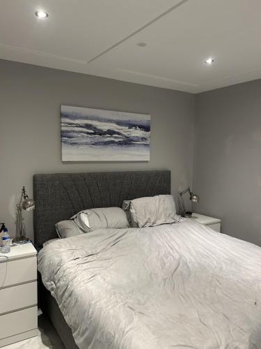 Croke Park 3-Beds Sleeps 6 2 min to Tram Stop, Dublin (zdjęcie 7)