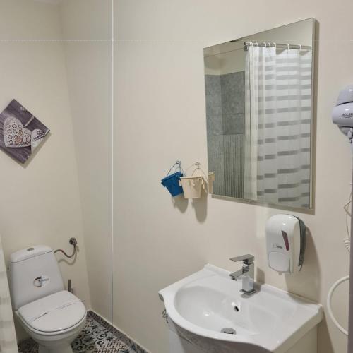 Pensiunea Hanul Huniazilor Pensiunea Hanul Huniazilor