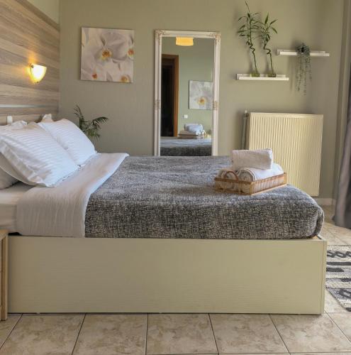 . Park Hotel Polykastro