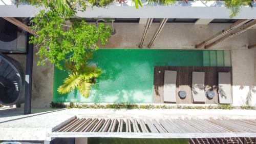 Casa Luna Perfect for Groups 10 Bedrooms Near Tulums Hotel Zone in Tulum, Mexico