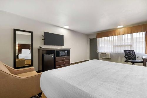 Best Western Red Carpet Inn Hereford - image 12