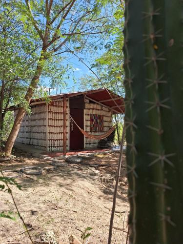 Alojamiento Casa de campo los Cactus | Boquern de Tena OFERTAS  ACTUALIZADAS 2020 desde , Fotos y Valoraciones