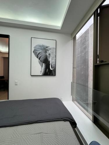 Departamento Elefante