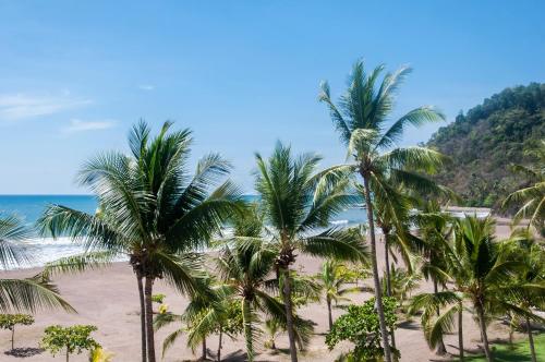 Palms 403