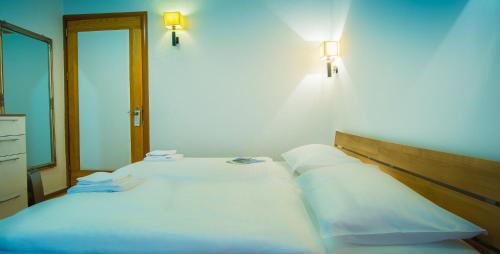 Hotel Katrca, Liubliana (foto 10)