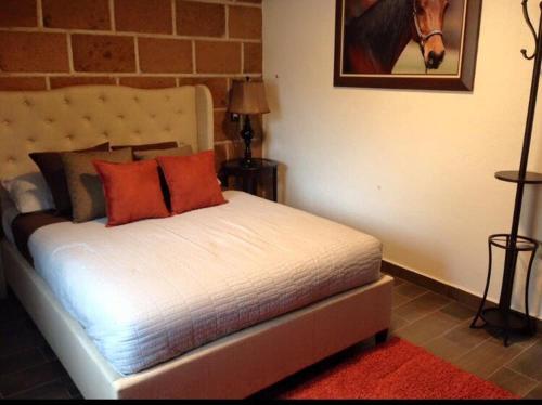 Cabanas, Suites y Habitaciones Rancho San Jorge - Photo 3