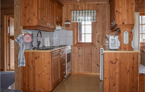 virtuve, Awesome Home In Rauland With Kitchen in Edlandsgrend