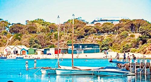 Position Perfection- Mornington in Mornington