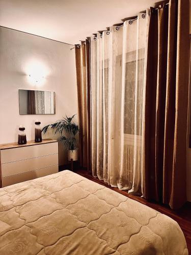 One-Bedroom Apartment image 6
