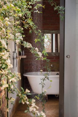 Dalmore Guest Farm Dalmore Guest Farm