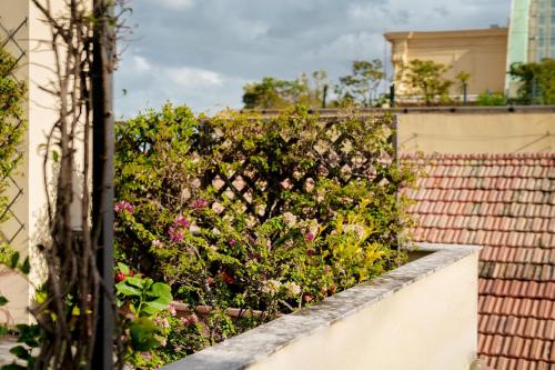 B&B Attico Partenopeo - image 12