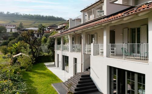 Dārzs, ASILO in BAROLO in Barolo