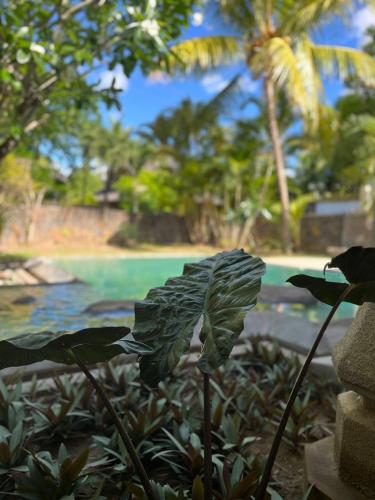 Barachois Cabana Barachois Cabana