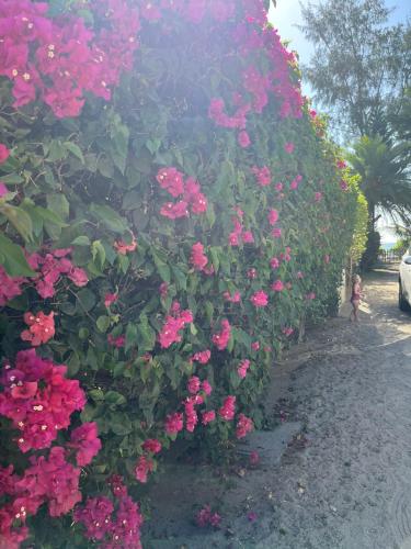 Barachois Cabana Barachois Cabana