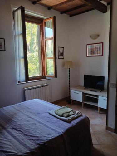 Appartamenti Leccino e Moraiolo in Costalpino