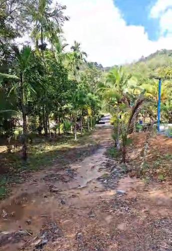 Surrounding environment, Lanta KS Garden in Baan Loh Du Yong