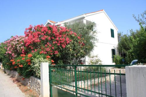 Apartments Suzana-green oasis - image 4