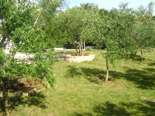 Apartments Suzana-green oasis - image 6