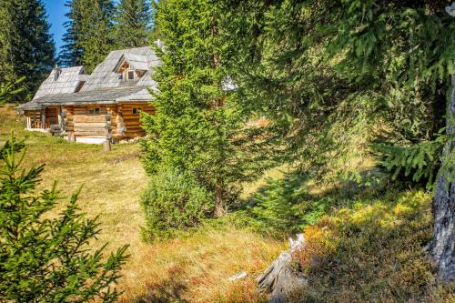 Lodge Nadgora - image 3