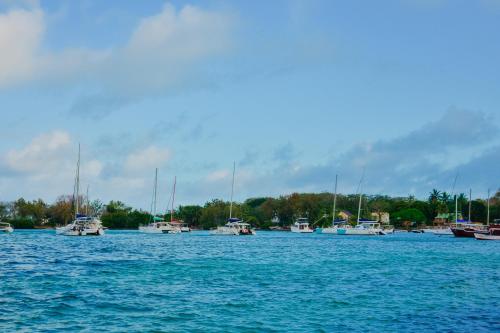 Boutique Villa on the Rocks with Stunning Sea Views, Infinity Pool & Private Sea