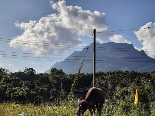 Samatha Camper Samatha Camper