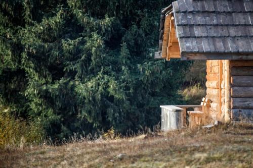 Lodge Nadgora - image 6