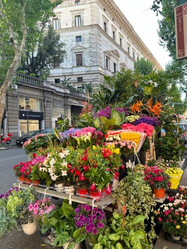 Candia Rooms - image 3