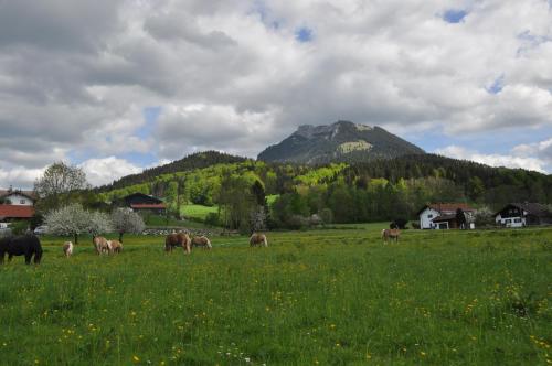 Kilátás, Sonnenkaiser in Fischbachau