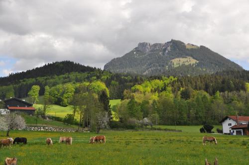 Sonnenkaiser in Fischbachau
