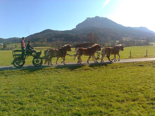 Sonnenkaiser in Fischbachau