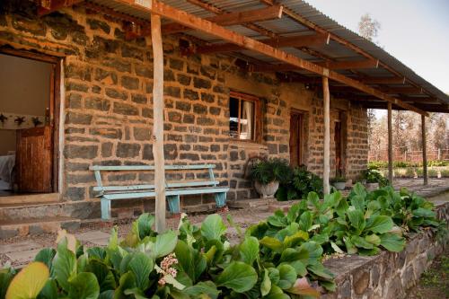 Dalmore Guest Farm Dalmore Guest Farm